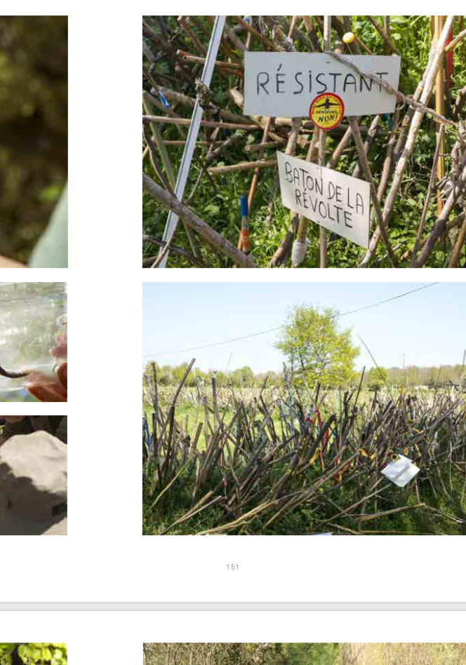  - BRUNO SERRALONGUE: Comptes rendus photographiques...   lancement du livre et sgroppinos